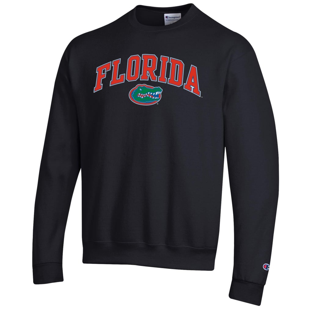  Florida Gators Champion Arch Over Logo Pullover Sweatshirt - Black